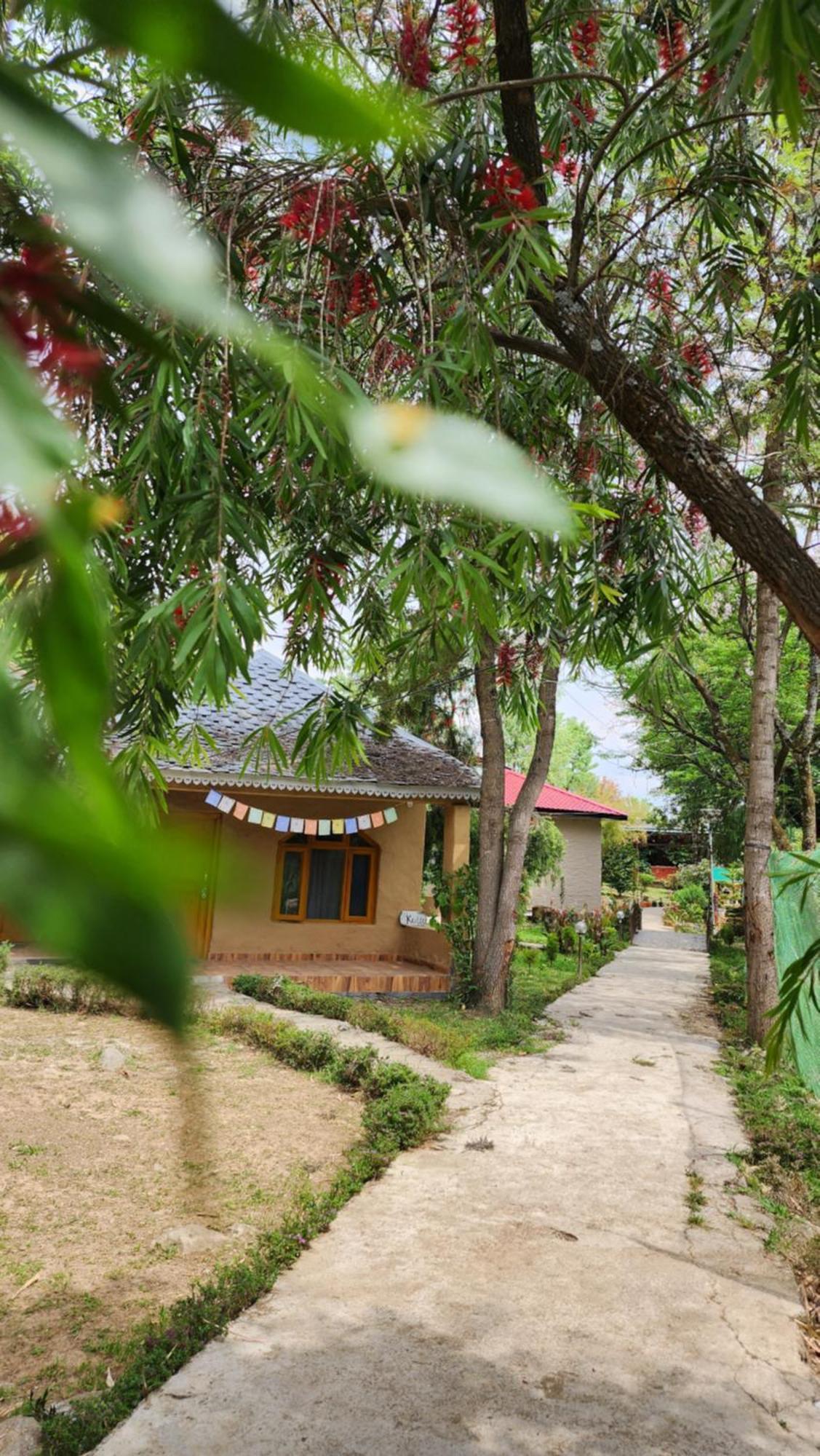 Namlang Resort Bīr Εξωτερικό φωτογραφία