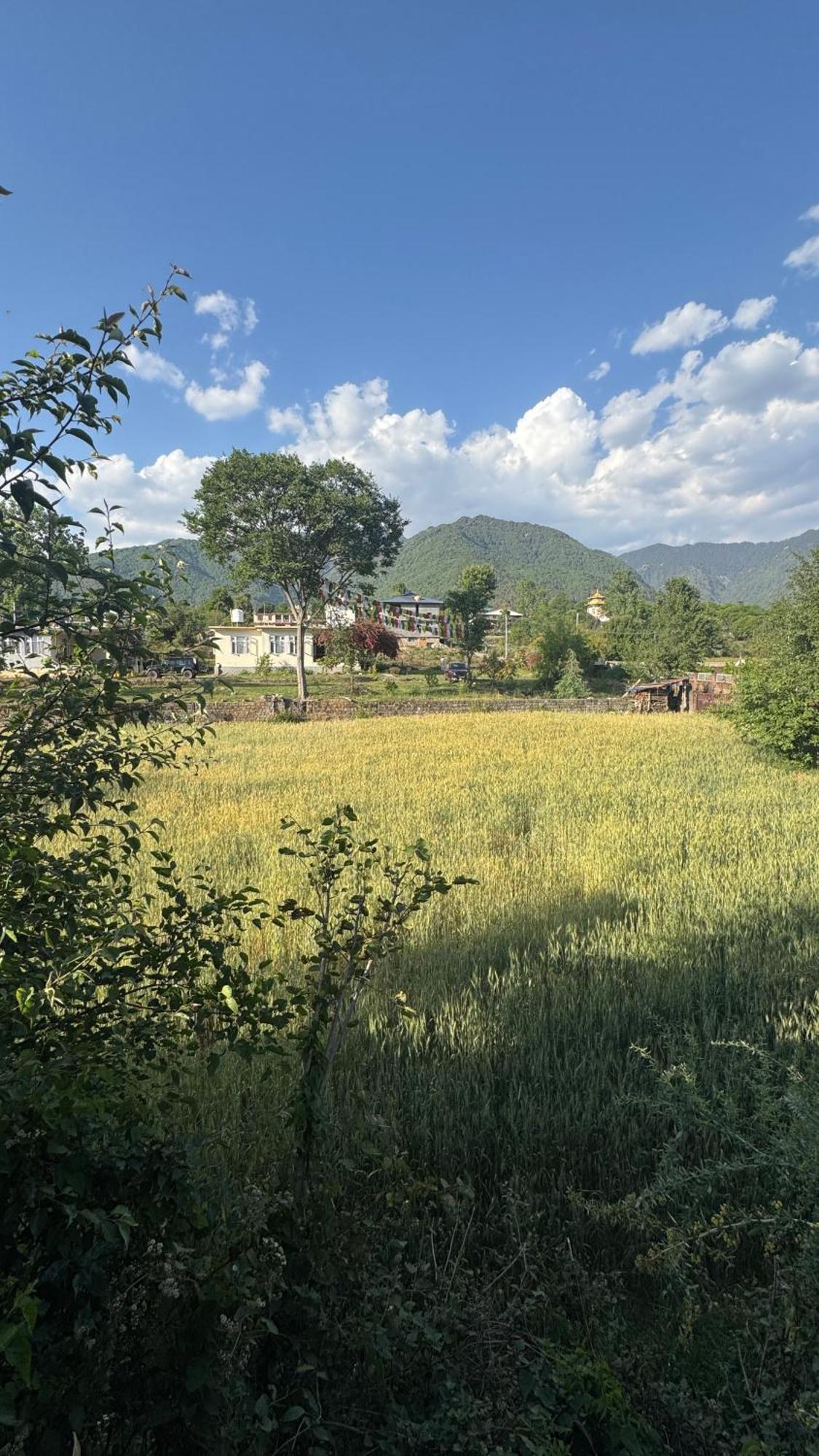 Namlang Resort Bīr Εξωτερικό φωτογραφία